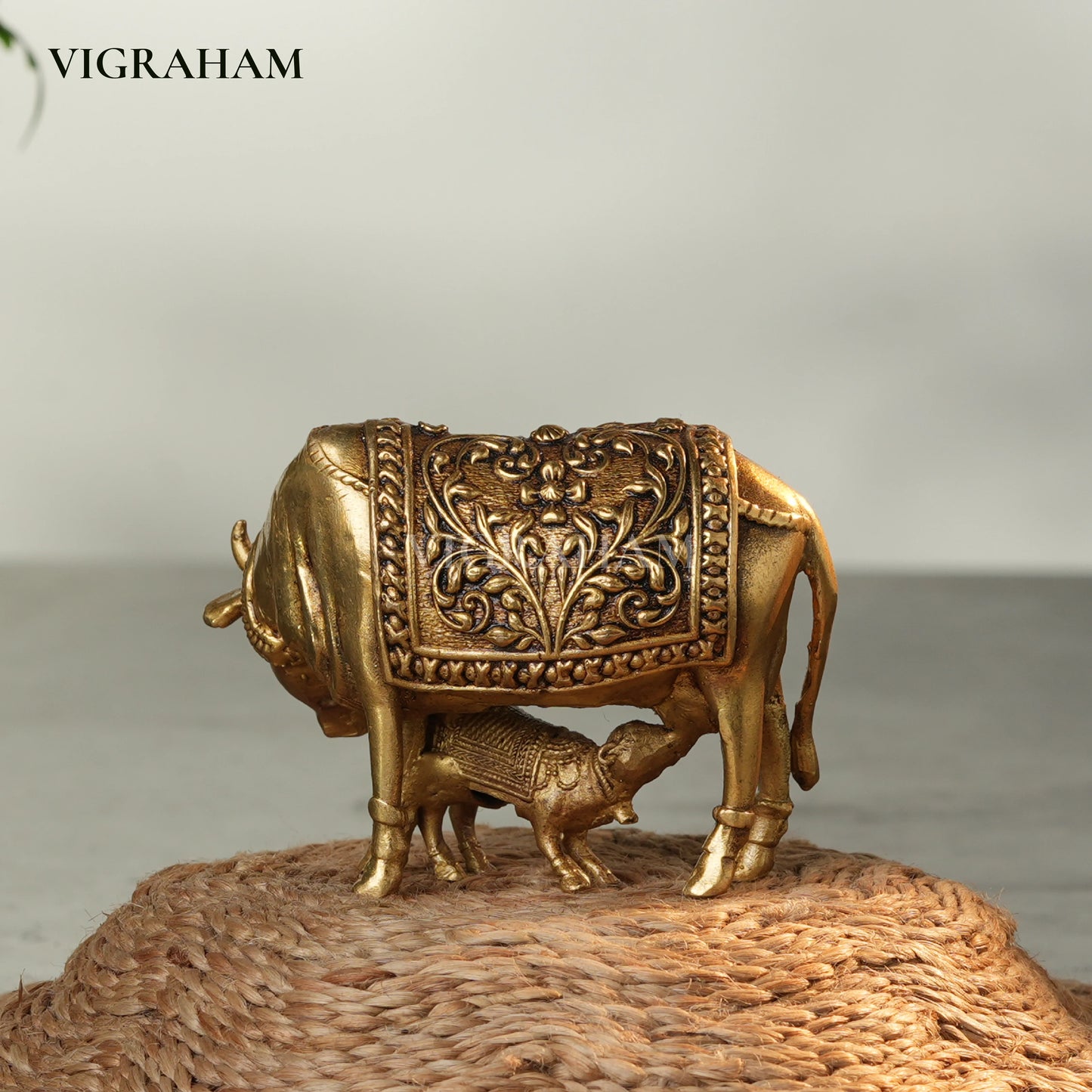 KAMADHENU (2 Inch)