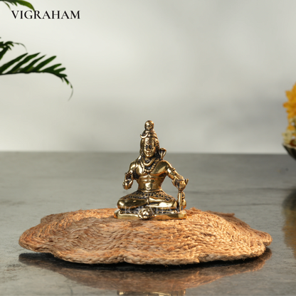 SHIVAN MINI (3 Inch)