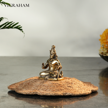 SHIVAN MINI (3 Inch)