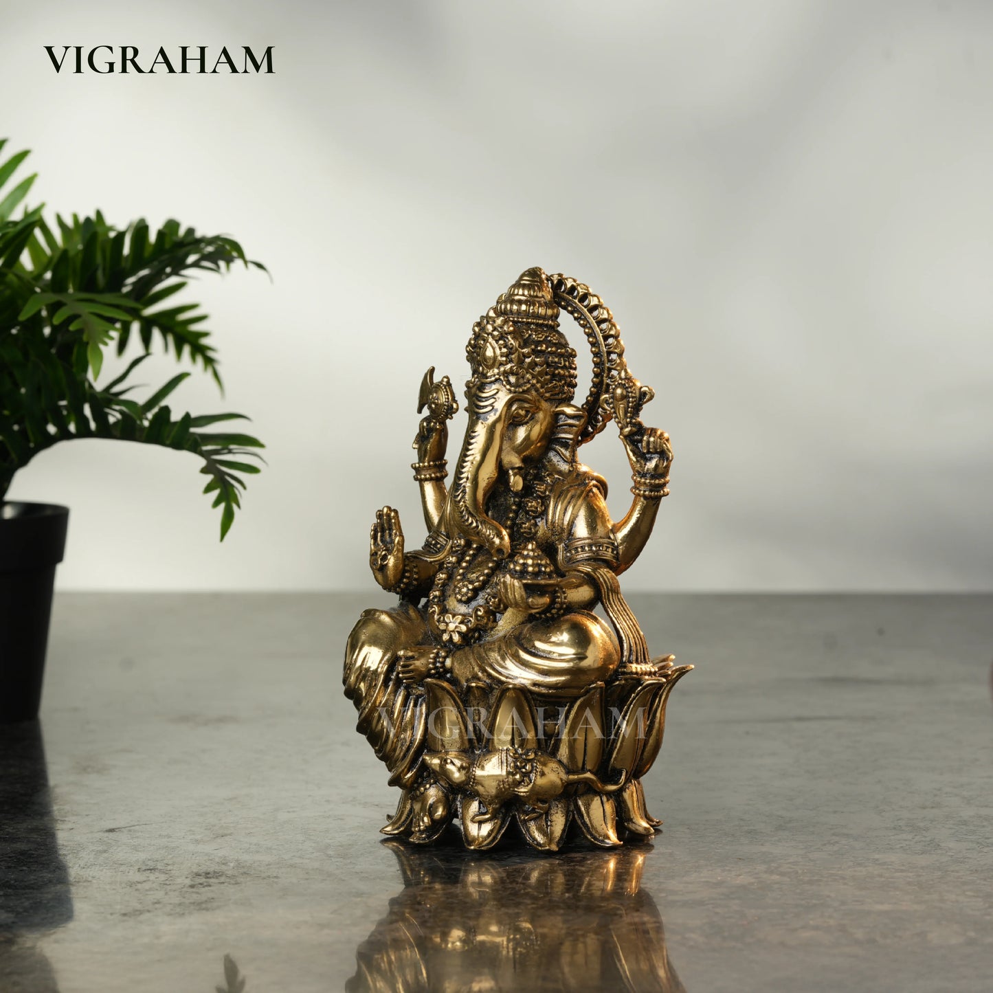 GANESH (7 Inch)